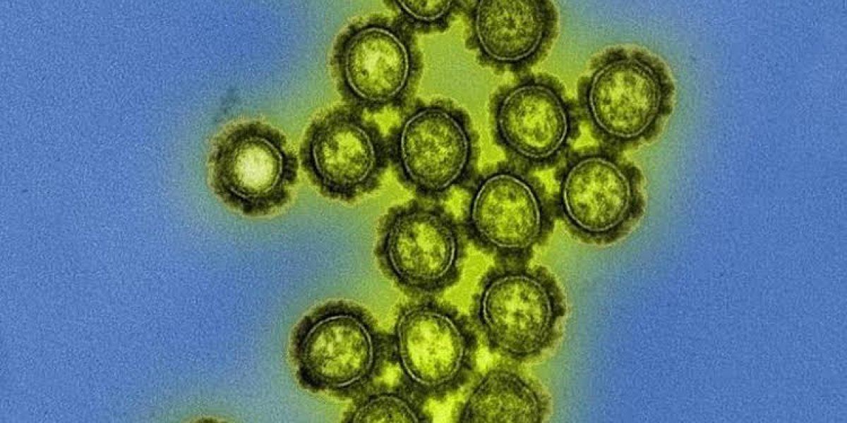 Casos de gripe H3N2 já chegaram a 17 estados e ao Distrito Federal