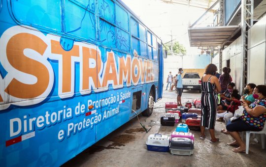 Castramóvel realizou mais de 16 mil castrações de cães e gatos em 2021