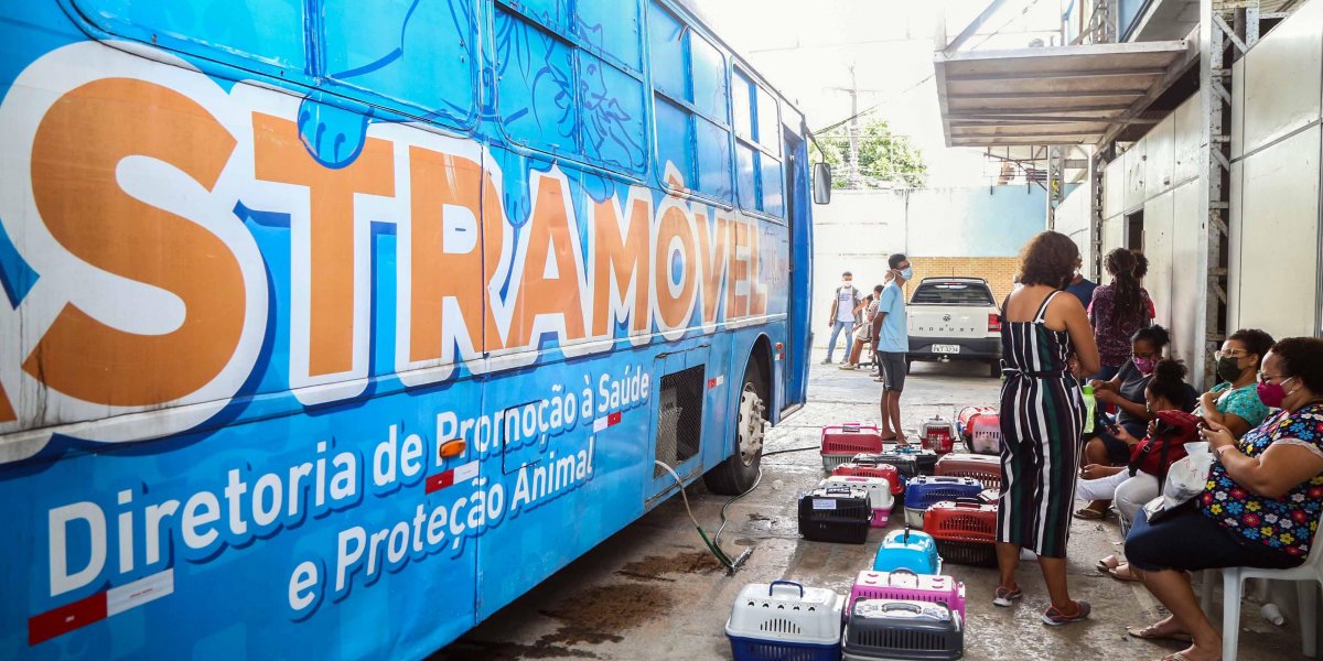 Castramóvel realizou mais de 16 mil castrações de cães e gatos em 2021