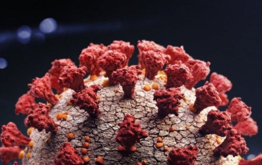 Variante Ômicron aumenta imunidade contra Delta, aponta estudo