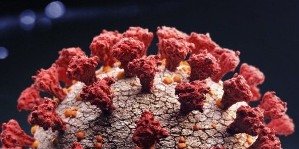 Variante Ômicron aumenta imunidade contra Delta, aponta estudo