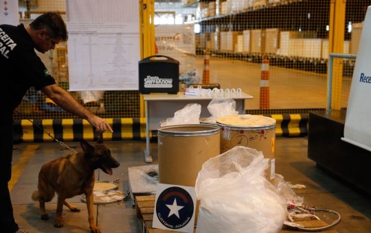 Cão farejador ajuda na apreensão de 1,2 tonelada de cocaína no Porto de Santos