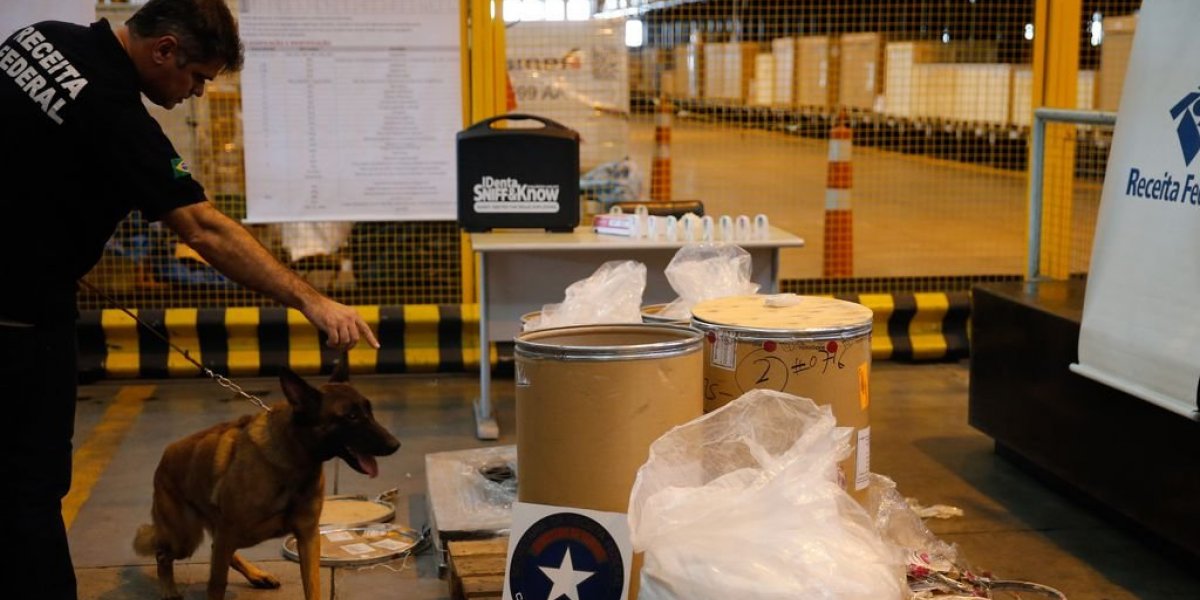 Cão farejador ajuda na apreensão de 1,2 tonelada de cocaína no Porto de Santos