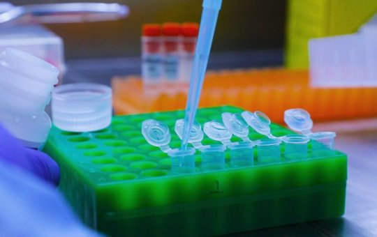 Ômicron é identificada em 31% dos casos de Covid-19 em dezembro, diz Instituto