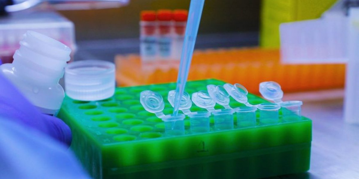 Ômicron é identificada em 31% dos casos de Covid-19 em dezembro, diz Instituto