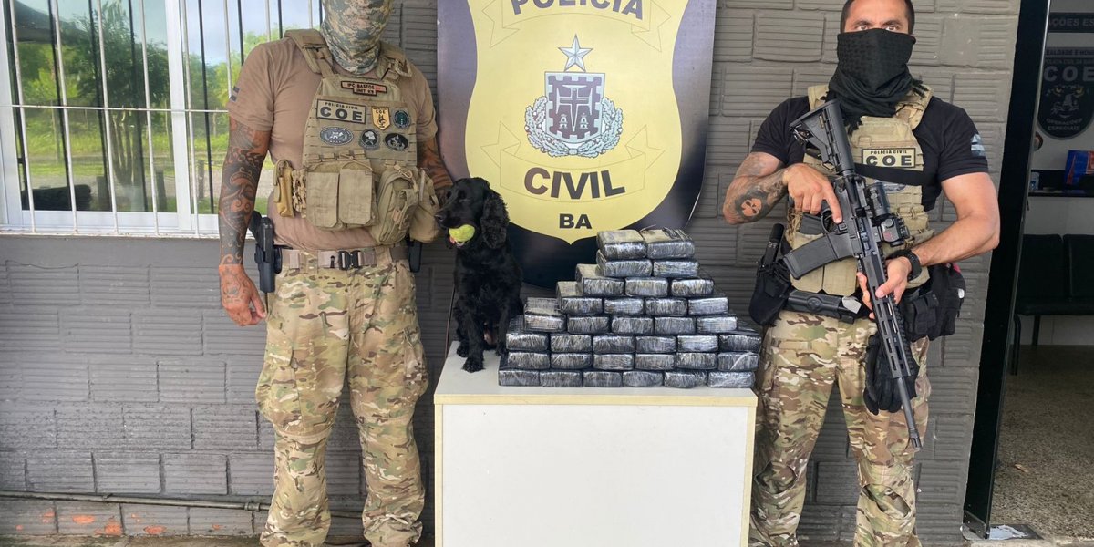 Cocaína avaliada em R$ 800 mil é apreendida na Paralela