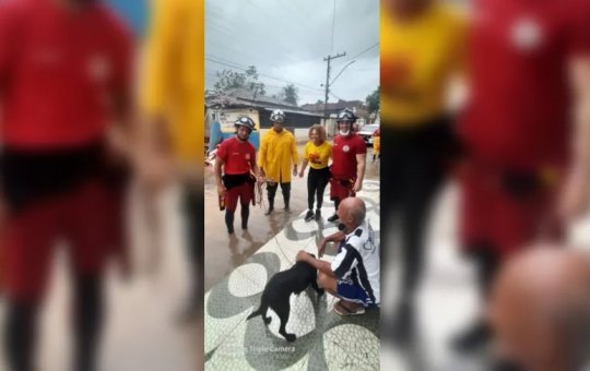 Cachorro é resgatado após ficar quatro dias em telhado