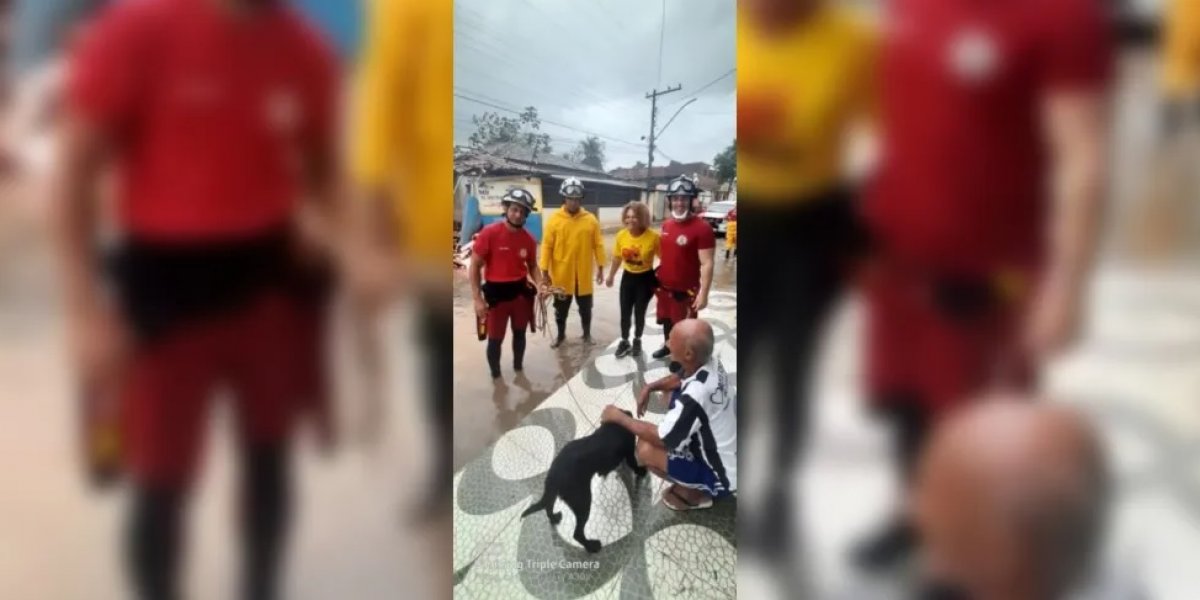 Cachorro é resgatado após ficar quatro dias em telhado