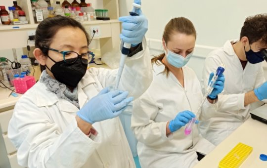 Butantan está produzindo vacina contra gripe que contém nova cepa