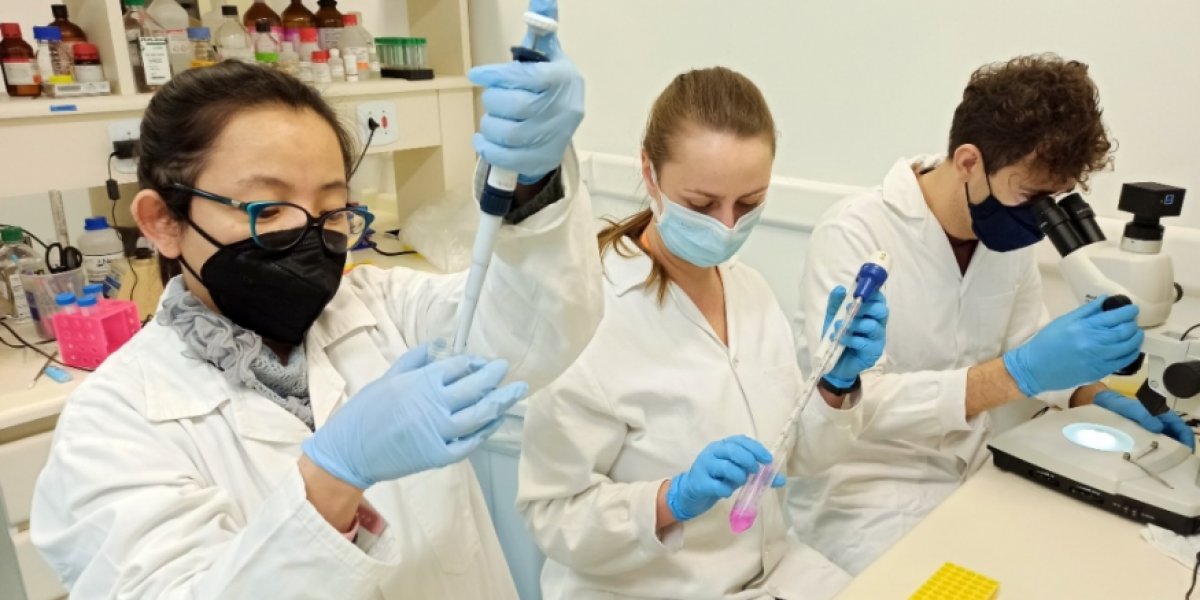 Butantan está produzindo vacina contra gripe que contém nova cepa