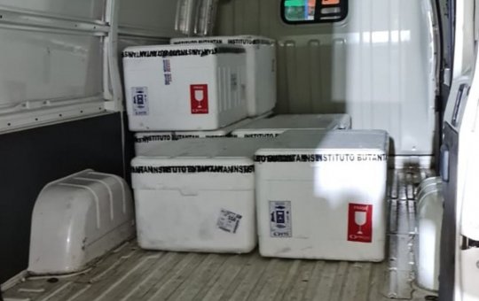 Chega a Salvador lote com quase 150 mil doses de vacina contra a gripe