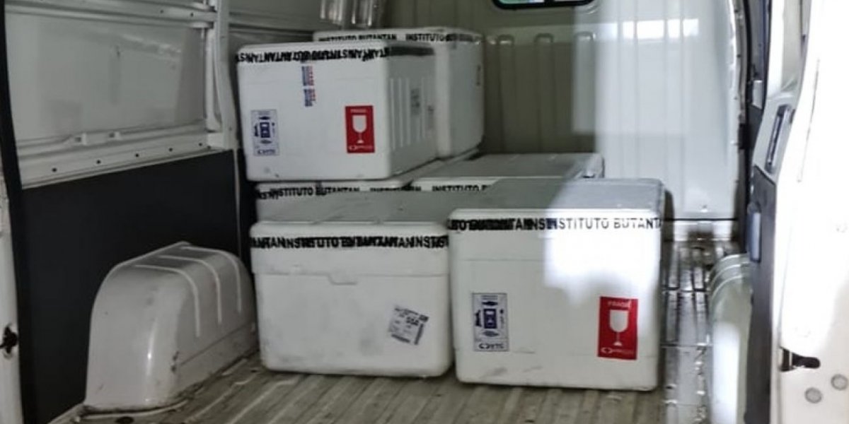 Chega a Salvador lote com quase 150 mil doses de vacina contra a gripe