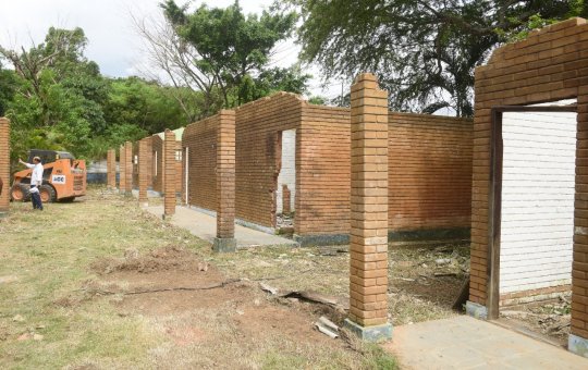 Salvador terá primeiro hospital público veterinário do estado