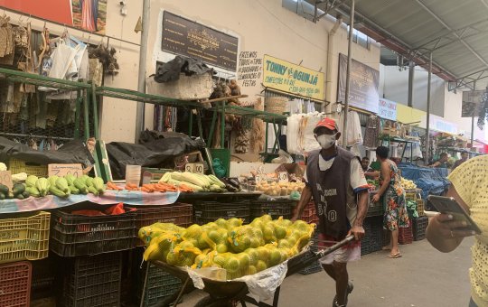 Com surto de gripe, aumentam as buscas por frutas cítricas em Salvador