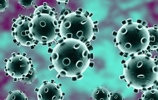 Covid-19:“A tendência é aumentar”, afirma diretora da vigilância epidemiológica 
