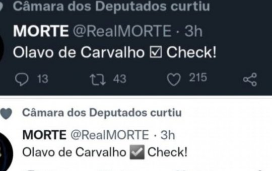 Eduardo Bolsonaro fica irritado após perfil da Câmara curtir post sobre Olavo