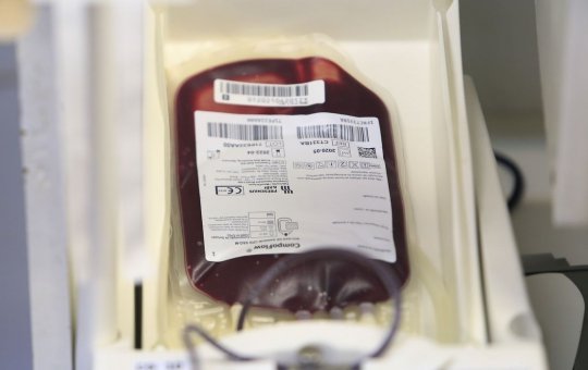 Saúde e Anvisa atualizam regras para doação de sangue durante pandemia