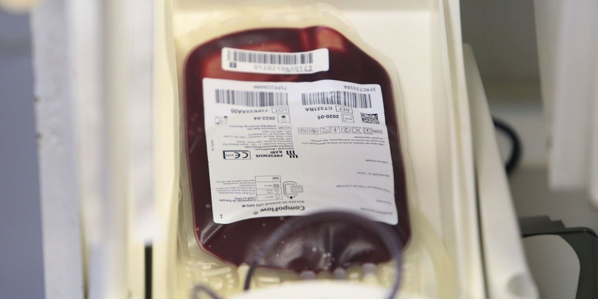 Saúde e Anvisa atualizam regras para doação de sangue durante pandemia