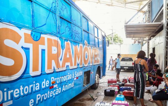 Cajazeiras X, em Salvador, receberá o Castramóvel na próxima segunda (31)