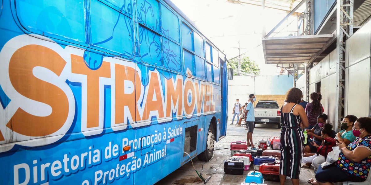 Cajazeiras X, em Salvador, receberá o Castramóvel na próxima segunda (31)