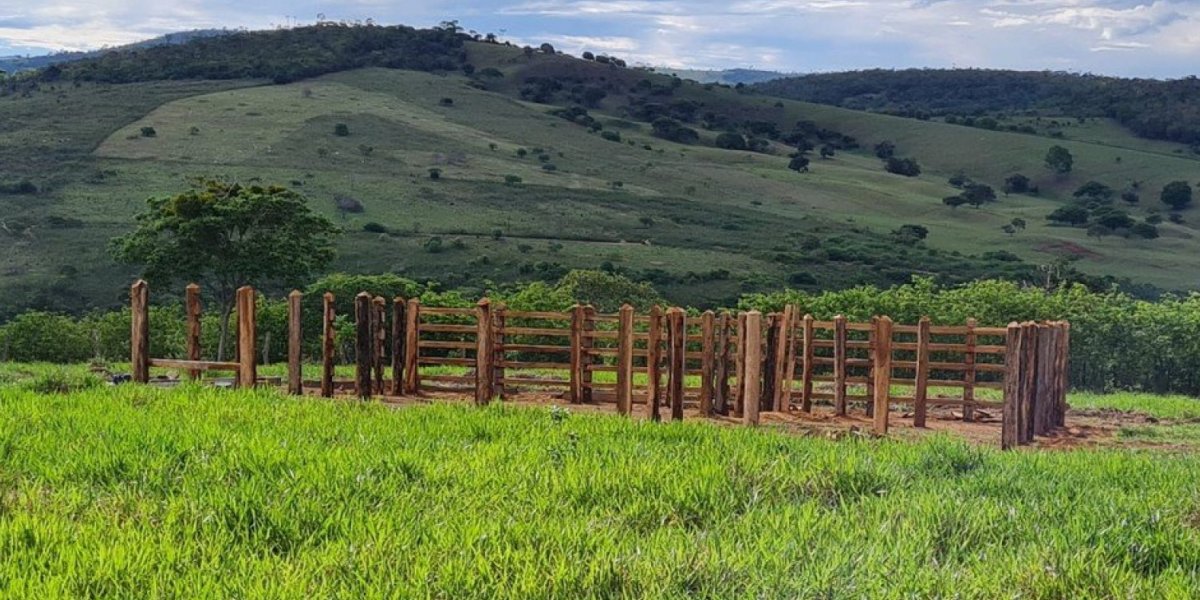 Idoso morre após ataque de abelhas em Itiruçu