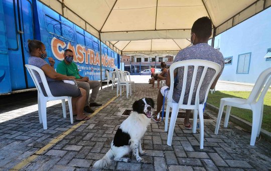 Castramóvel segue com atendimento em Cajazeiras X até o dia 13 de março