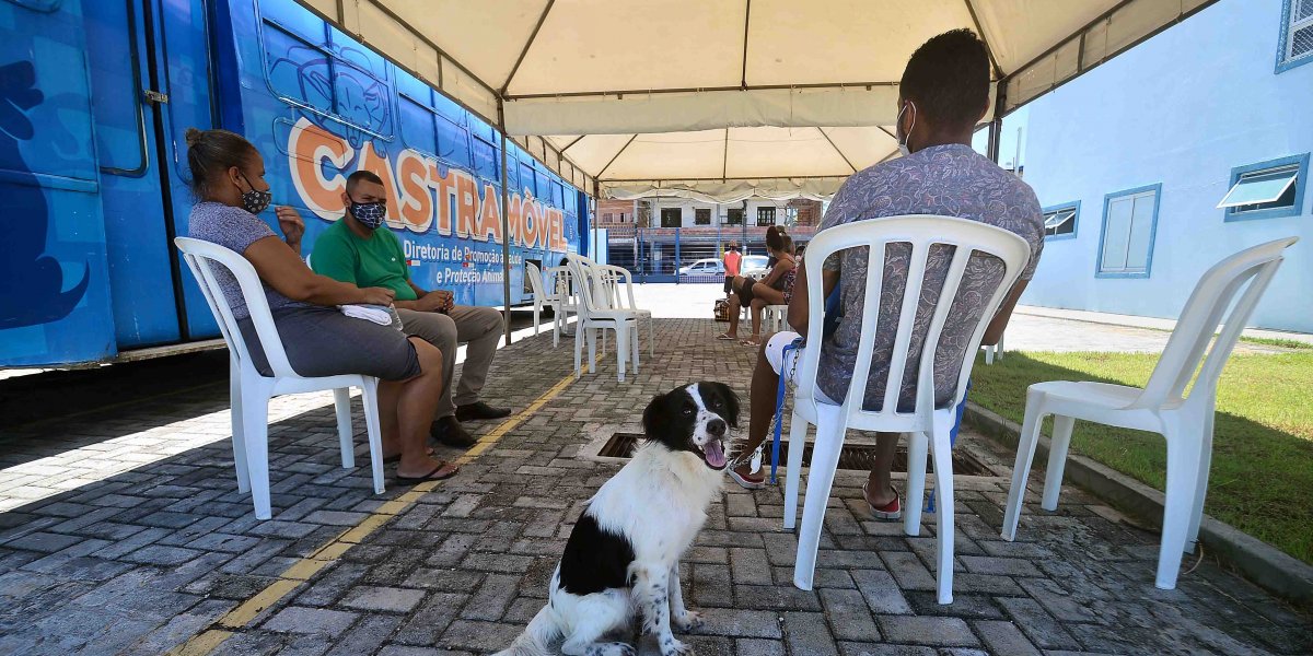 Castramóvel segue com atendimento em Cajazeiras X até o dia 13 de março