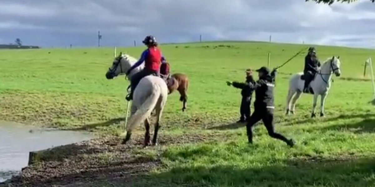 Bicampeão olímpico de hipismo é suspenso por agredir cavalo durante treino