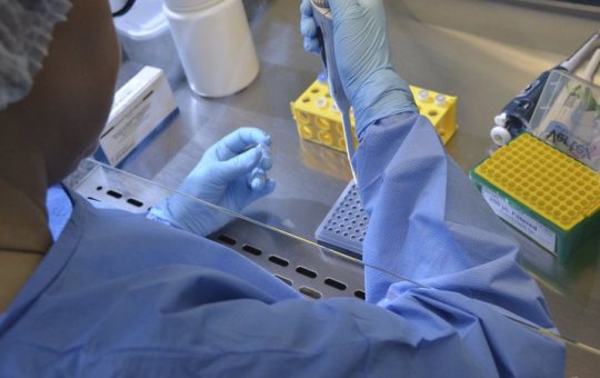 Covid-19: Variante Ômicron representa 93% dos novos casos da doença na Bahia