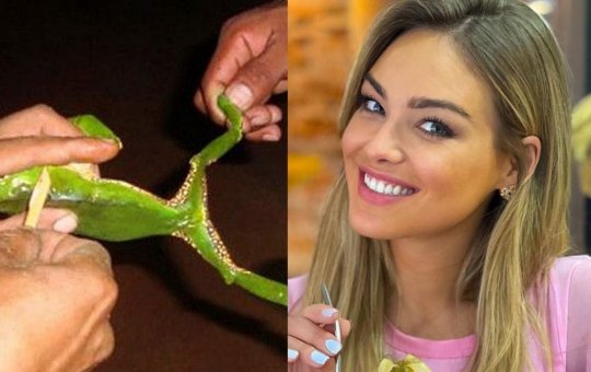 “Achei que iria morrer”, diz ex-bbb ao aplicar veneno de sapo no corpo em ritual