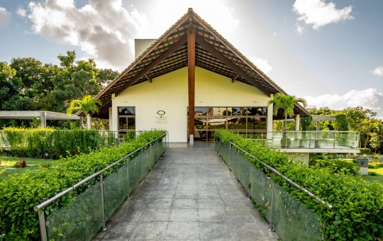 Procura por cremação aumenta; Saiba os motivos