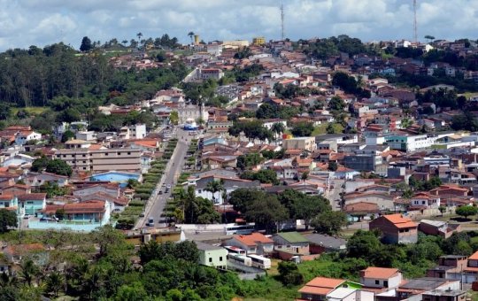 Polícia Militar encontra 23 pés de maconha em Catu