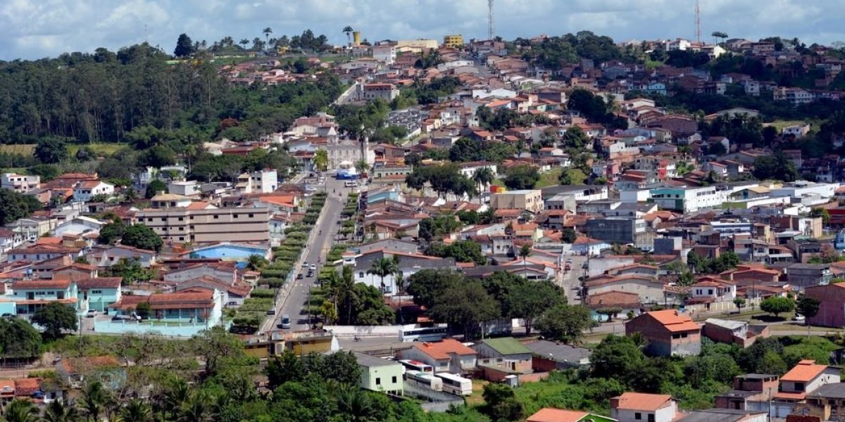 Polícia Militar encontra 23 pés de maconha em Catu