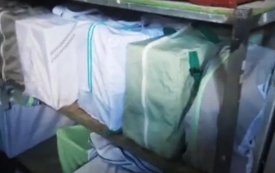 Com suspeita de maus-tratos, aves silvestres são apreendidas em Cidade Nova