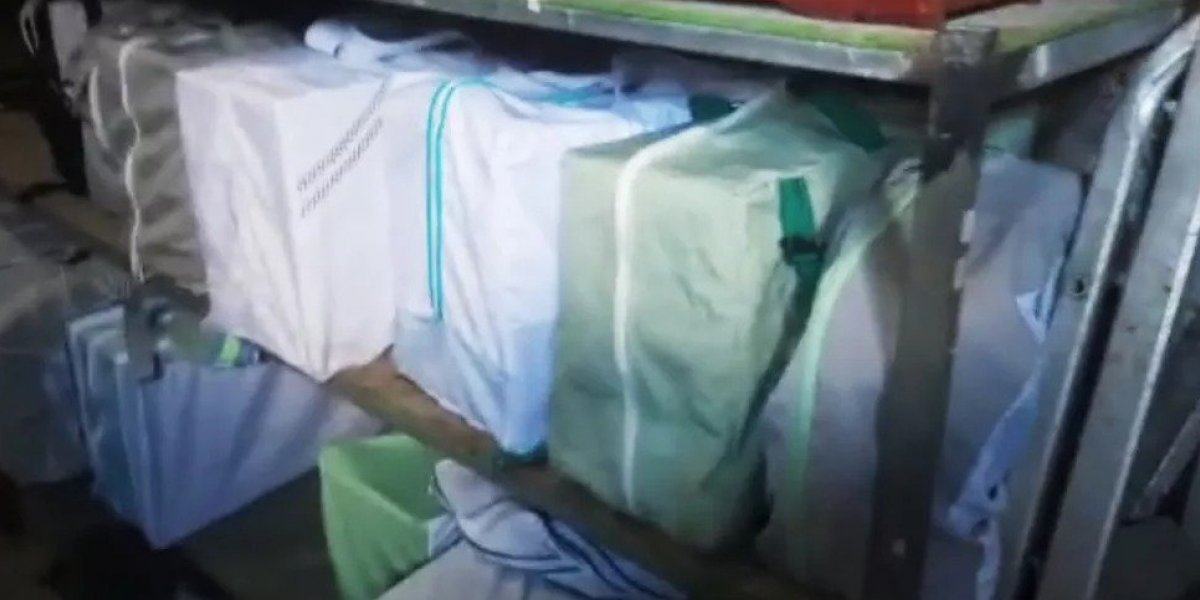 Com suspeita de maus-tratos, aves silvestres são apreendidas em Cidade Nova