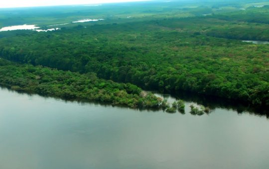 Governo lança operação contra o desmatamento na Amazônia