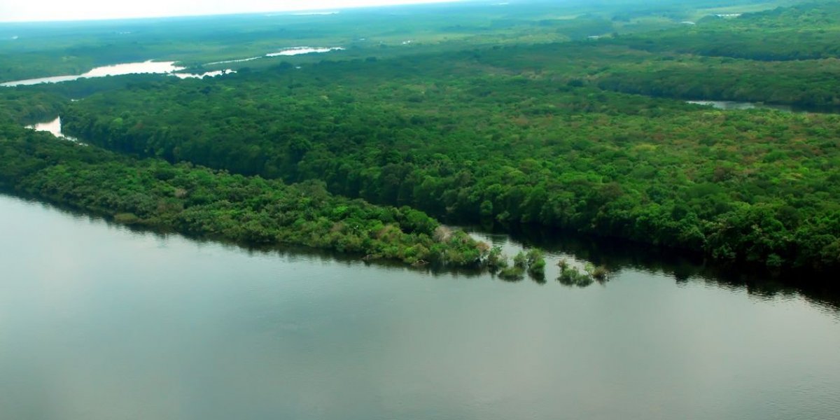 Governo lança operação contra o desmatamento na Amazônia