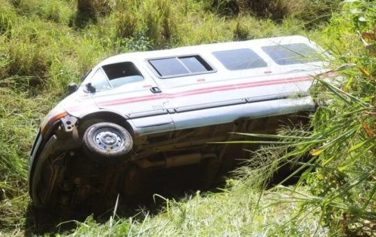 Enxame de abelhas causa acidente com van na BA-084 e deixa feridos