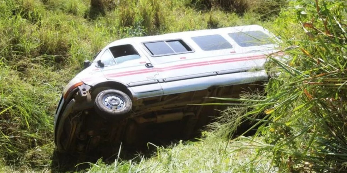 Enxame de abelhas causa acidente com van na BA-084 e deixa feridos