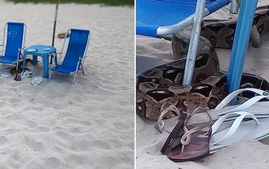 Banhistas são surpreendidos por cobra em praia de Jaguaribe, em Salvador