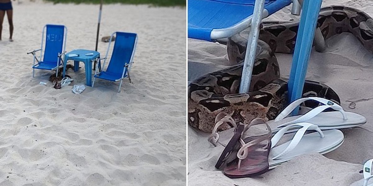 Banhistas são surpreendidos por cobra em praia de Jaguaribe, em Salvador