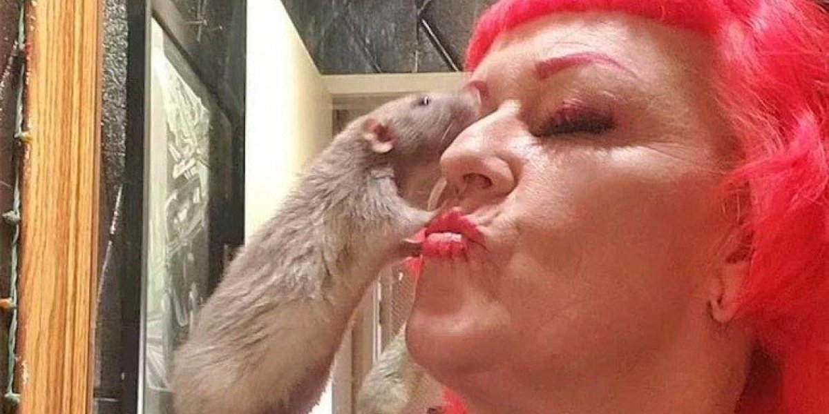 E se a moda pega? Norte-americana cria 50 ratos dentro de casa