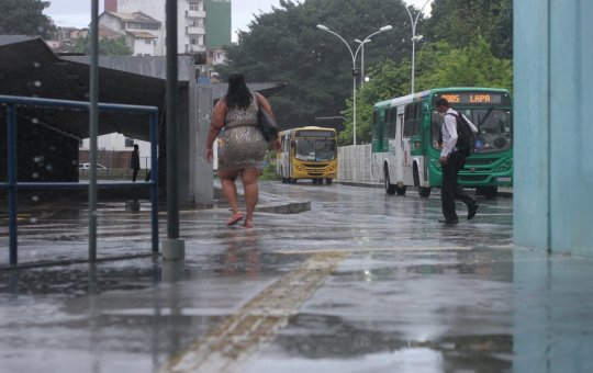 Chuva: Codesal registrar 49 solicitações nas primeiras horas desta quarta (20)