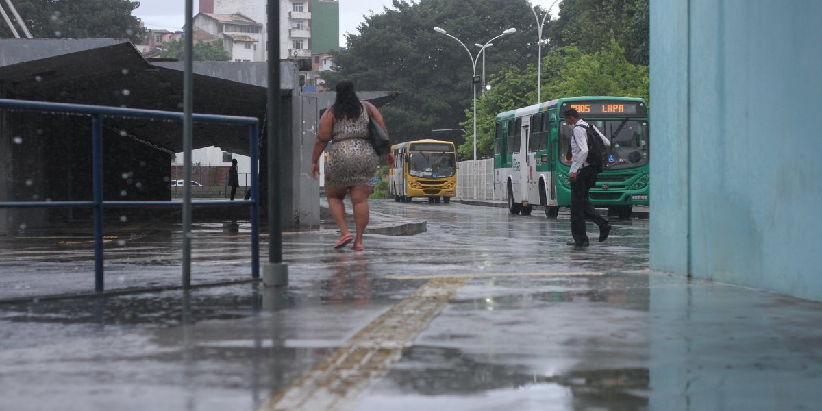Chuva: Codesal registrar 49 solicitações nas primeiras horas desta quarta (20)