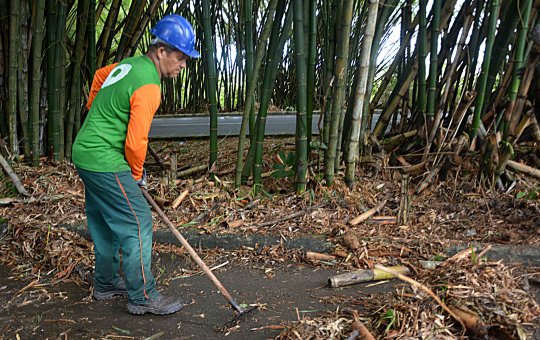 Prefeitura realiza obras de preservação no bambuzal do aeroporto