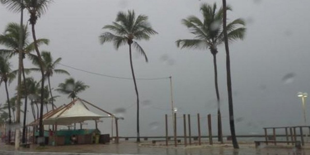 Codesal apresenta balanço parcial da Operação Chuva 2022