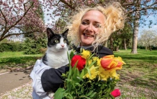 Inusitado: Britânica casa com gata para fugir de proibições de animais