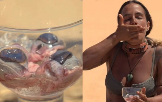 No Limite: Descubra quanto vale comer barata e olho de cabra no reality da Globo