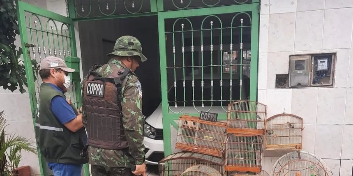 Ação policial resgata 73 animais silvestres em Salvador