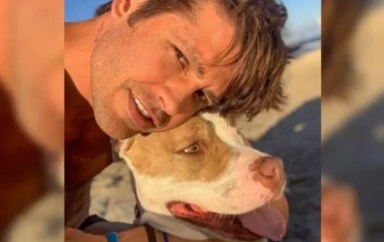 Vizinhos reclamam de ataques causados pela cadela do ator Dado Dolabella